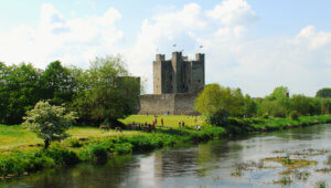 irish landscape trim castle